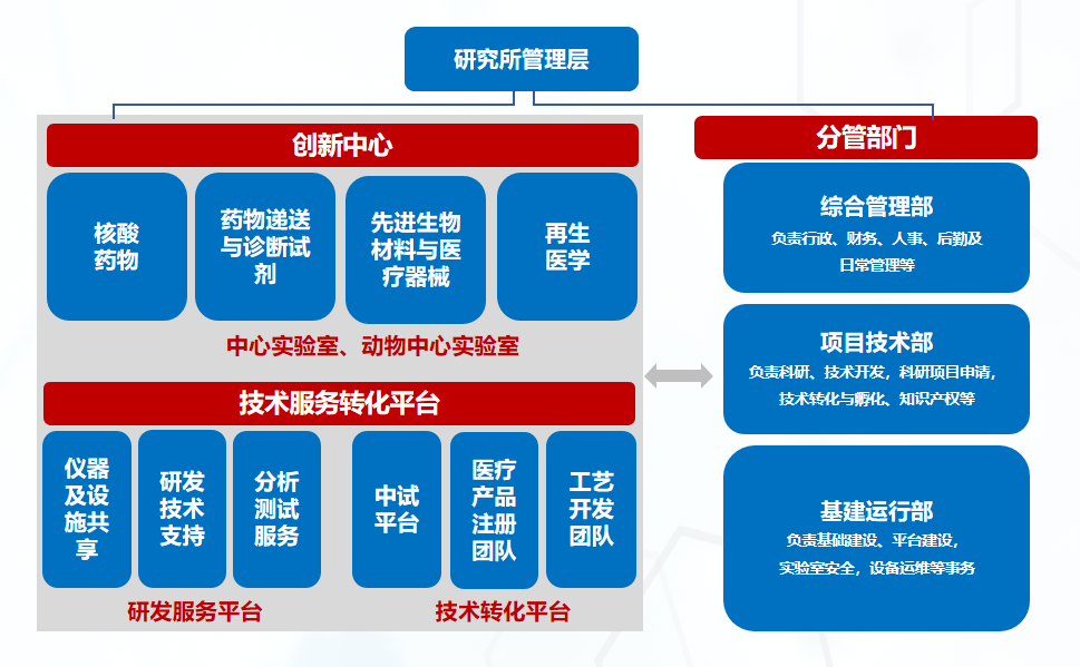 组织运行架构.png